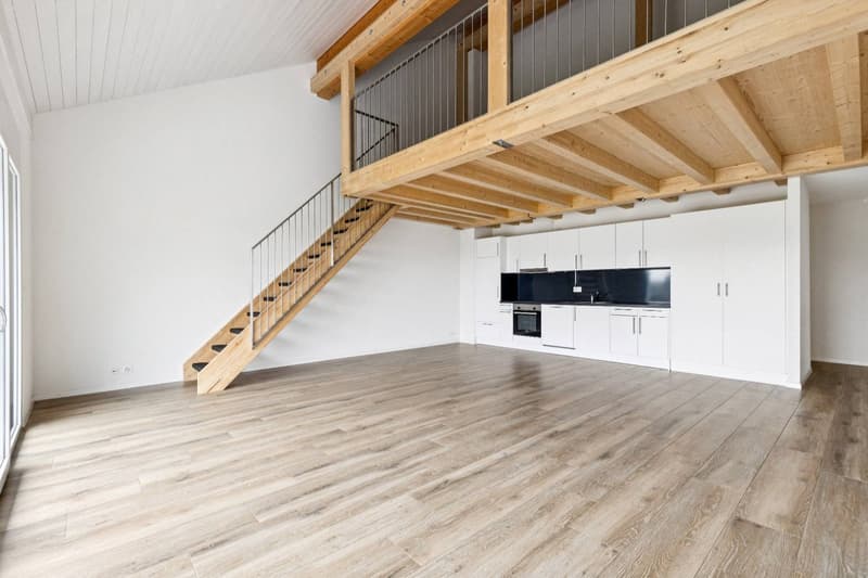 Bel appartement de 4.5 pièces + Mezzanine (2)