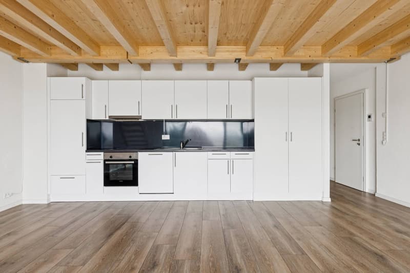 Beautiful 4.5-room apartment + Mezzanine (7)