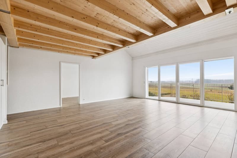 Beautiful 4.5-room apartment + Mezzanine (1)