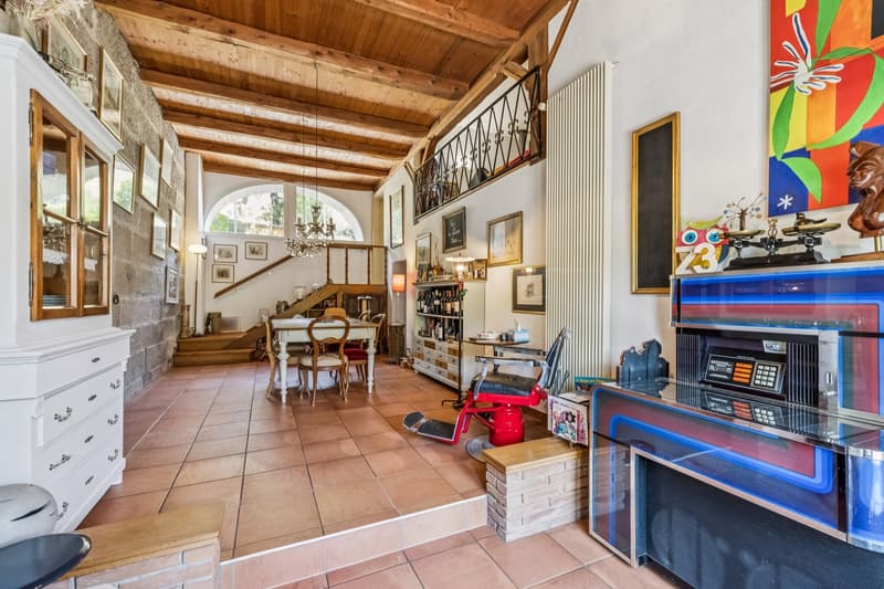 Maison de caractère rénovée aux grands volumes (4)