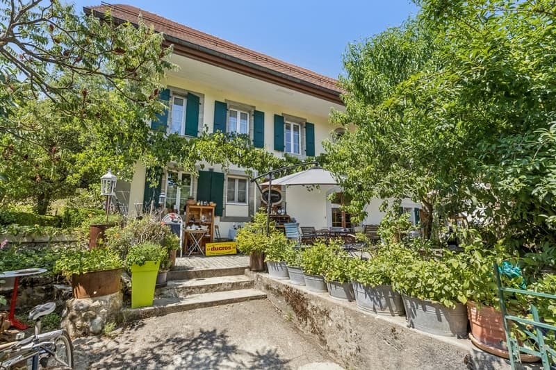 Maison de caractère rénovée aux grands volumes (2)