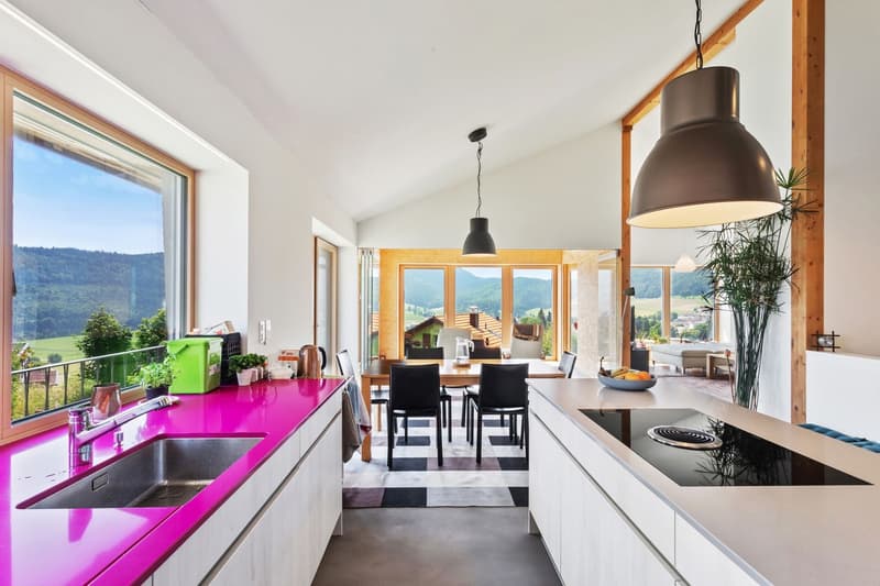 Magnifique villa écologique type Minergie A et P (2)