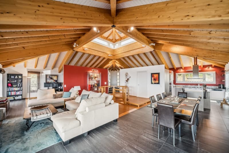 Villa d'architecte contemporaine, volumes spectaculaires, au pied du S (3)