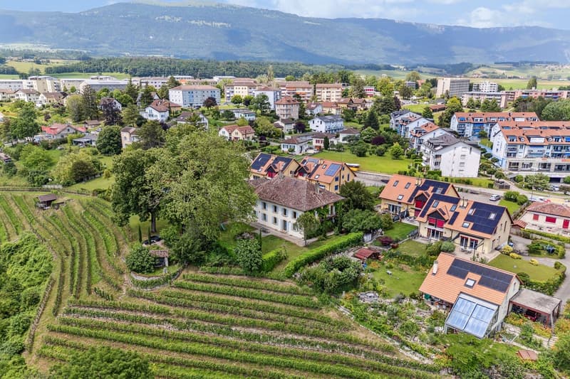 Somptueuse propriété historique sur un domaine viticole ! (2)