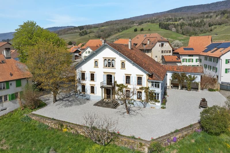 Magnifique maison vigneronne du XVIIème siècle (1)