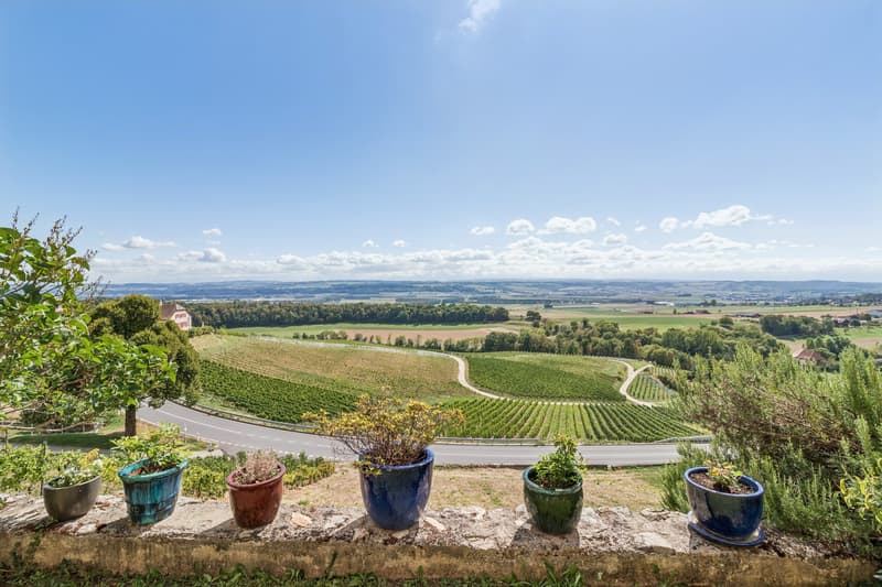 Maison de caractère avec une vue magnifique (4)