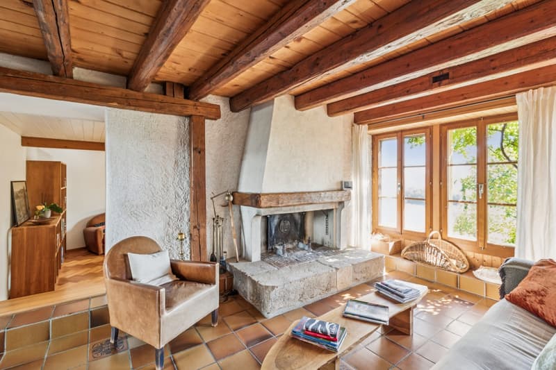 Maison de caractère avec une vue magnifique (6)