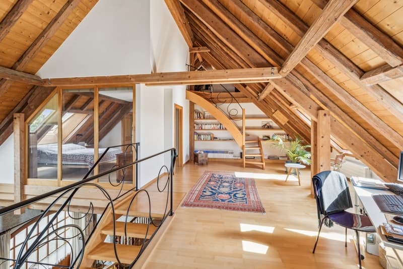 Maison de caractère avec une vue magnifique (11)