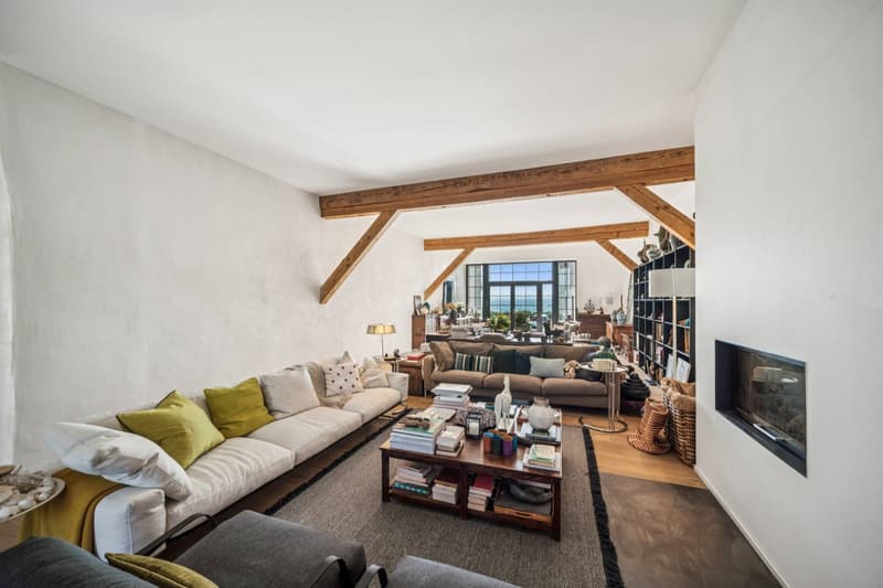 Propriété d'exception de deux logements avec vue panoramique ! (2)