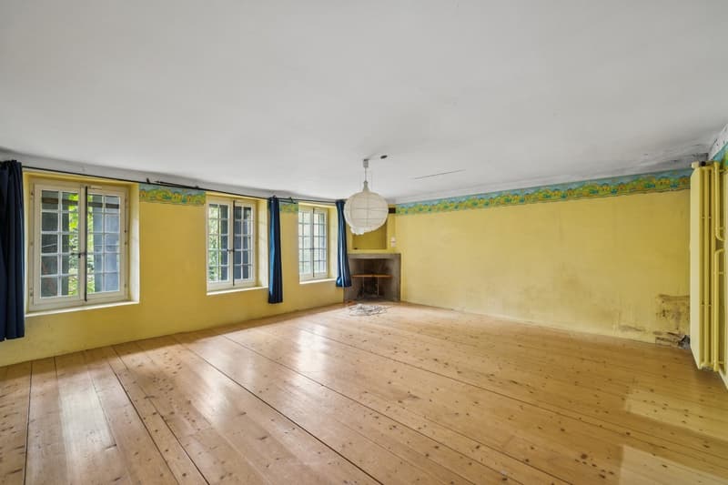 Maison villageoise d'exception au coeur de Sullens ! (10)