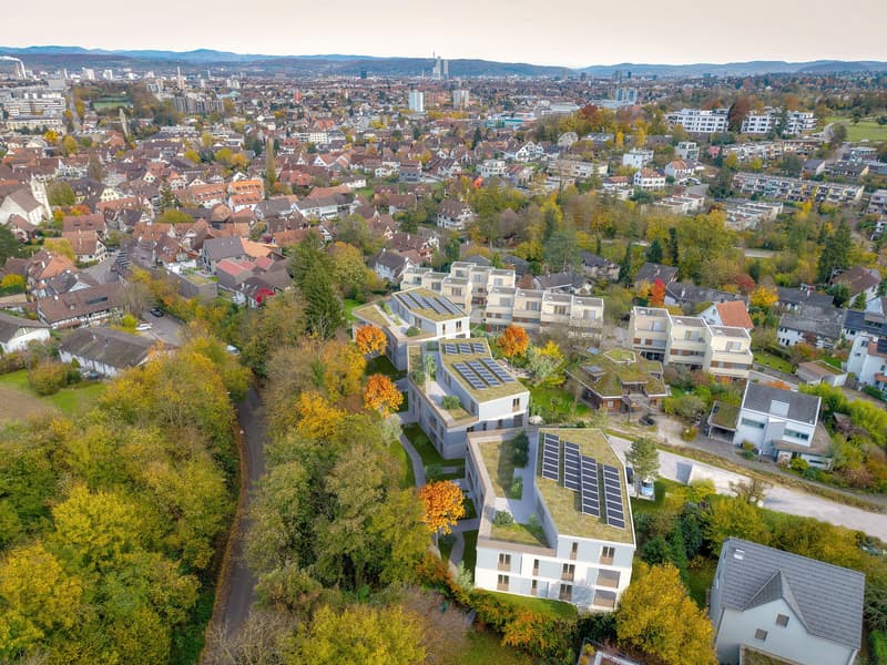 Gesamtansicht in Richtung Dorf resp. Osten
