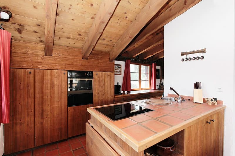 4.5 room holiday home in the mountains (4)
