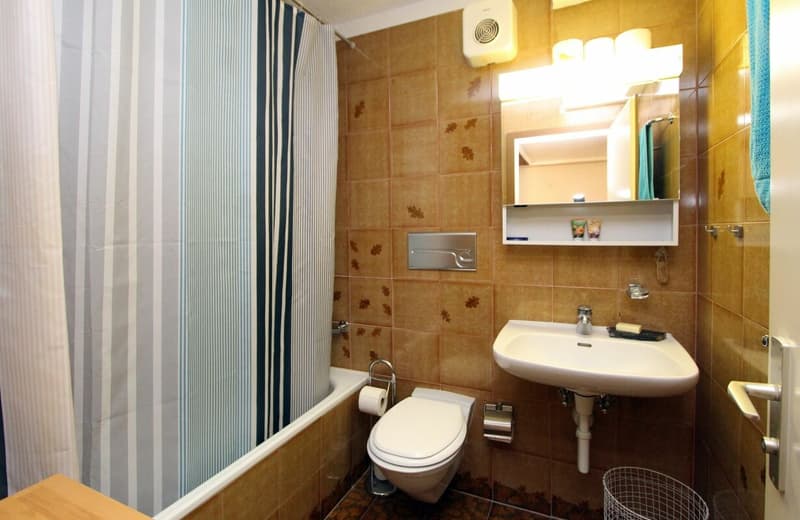 Grand appartement 2 pièces avec une vue montagnarde de rêve (8)