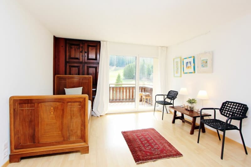 Grand appartement 2 pièces avec une vue montagnarde de rêve (6)