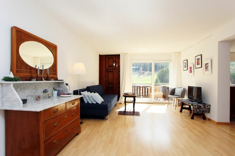 Grand appartement 2 pièces avec une vue montagnarde de rêve (2)