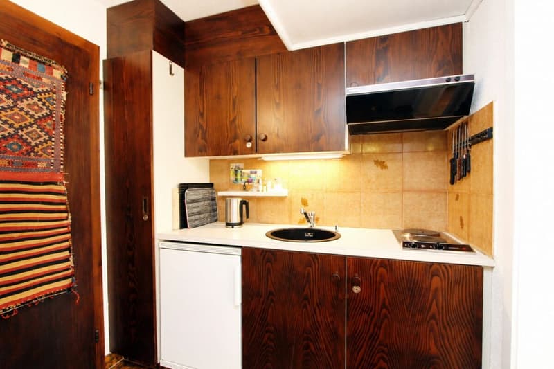 Grand appartement 2 pièces avec une vue montagnarde de rêve (5)