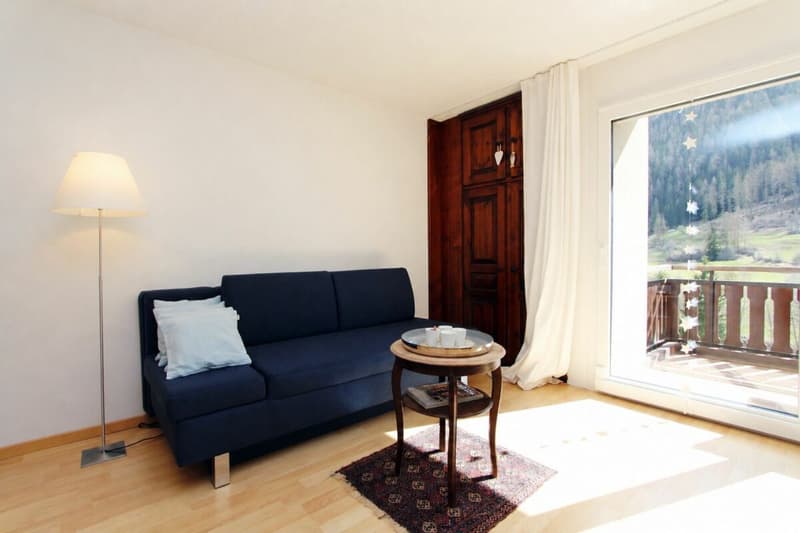 Grand appartement 2 pièces avec une vue montagnarde de rêve (3)