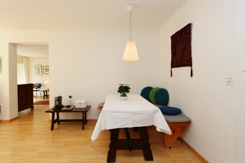 Grand appartement 2 pièces avec une vue montagnarde de rêve (4)