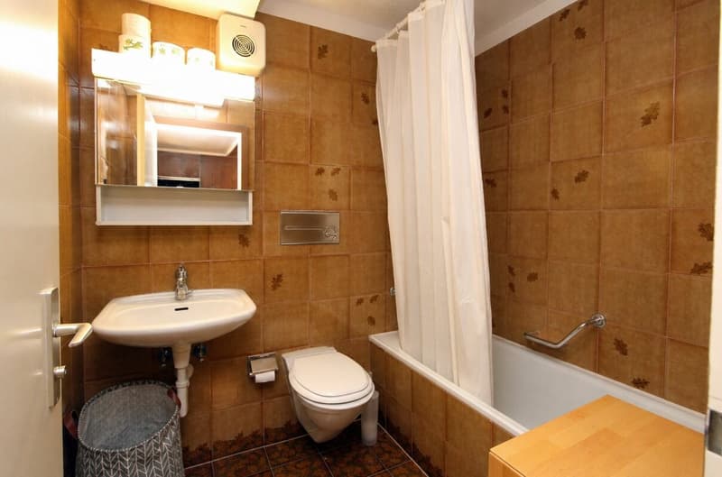 Grand appartement 2 pièces avec une vue montagnarde de rêve (9)