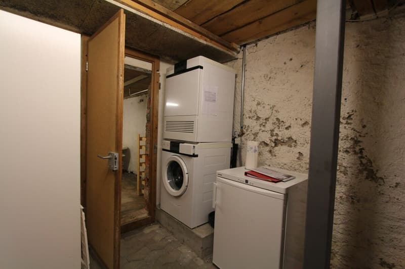 Grosszügige 3.5 Zimmerwohnung mit schönem Sitzplatz (9)