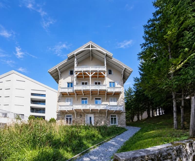 3.5 Zimmerwohnung mit extravagantem Innenausbau (12)