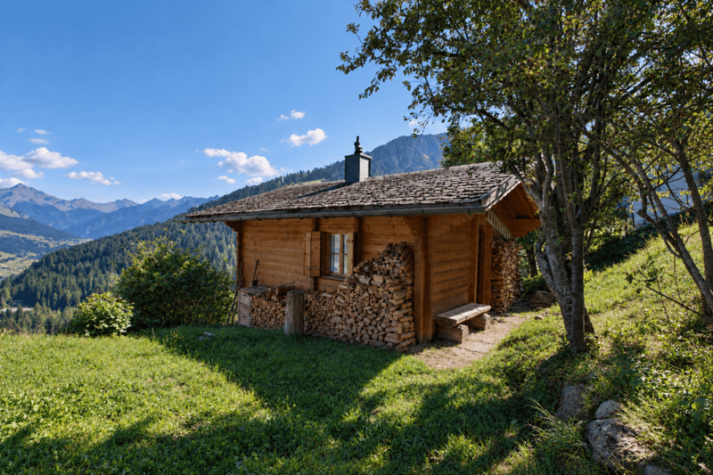 Ferienhaus in Mutten - ursprüngliche Bergwelt entdecken (11)