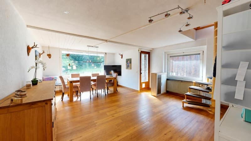 Einfamilienhaus mit Einliegerwohnung und grossem Garten (6)