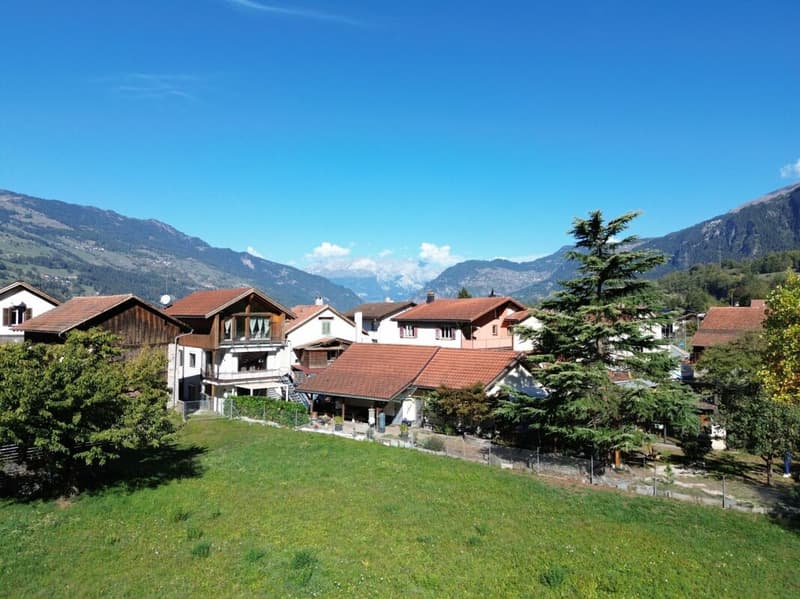 Einfamilienhaus mit Einliegerwohnung und grossem Garten (1)