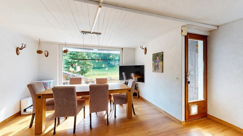 Einfamilienhaus mit Einliegerwohnung und grossem Garten (7)