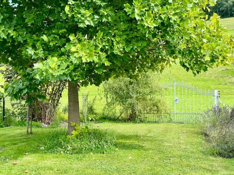 Einfamilienhaus mit Einliegerwohnung und grossem Garten (23)