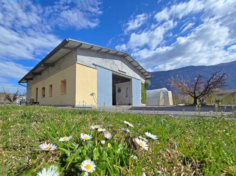 Double garage and large convertible hangar (6)