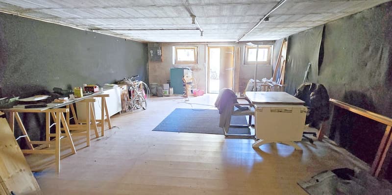 Barn - warehouse with development potential (3)