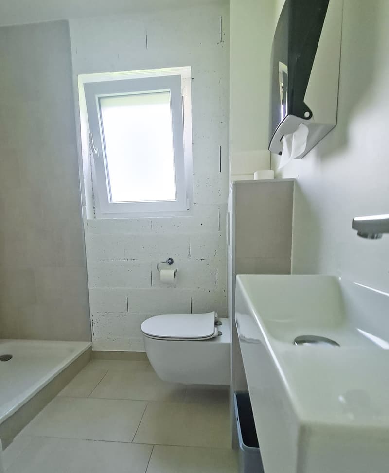 Lokales Triplex - Eingangshalle und Büros (7)