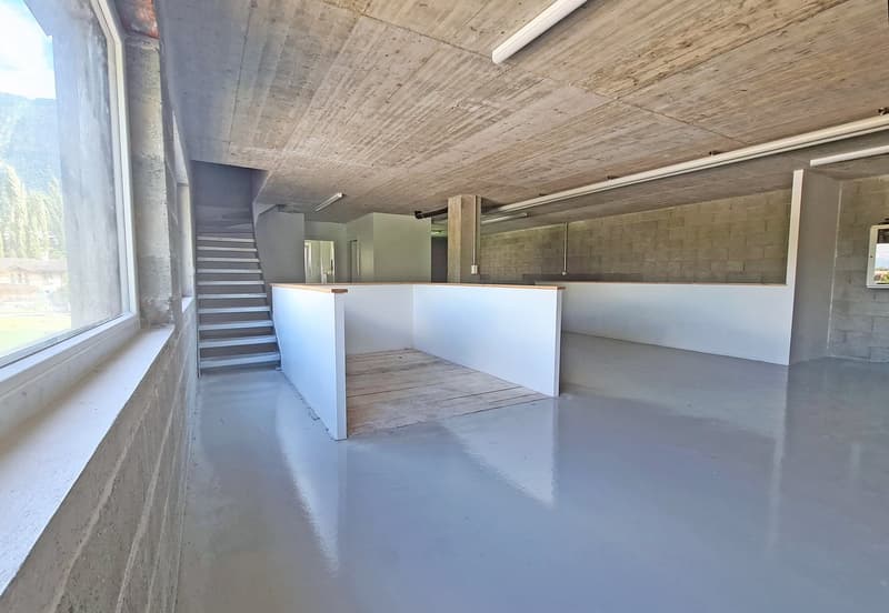 Lokales Triplex - Eingangshalle und Büros (2)