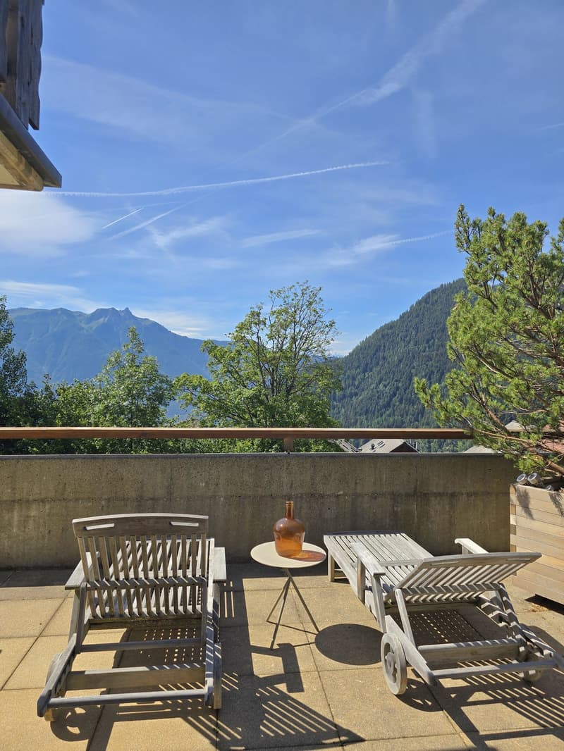 Zwei Schritte von den Bains - Superbe Apartment mit großer Terrasse (1)