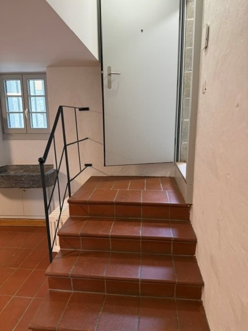Spacieux appartement de 2 pièces dans un écrin de verdure à Lausanne (9)