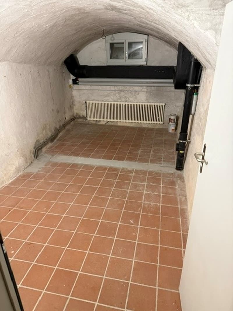 Spacieux appartement de 2 pièces dans un écrin de verdure à Lausanne (8)