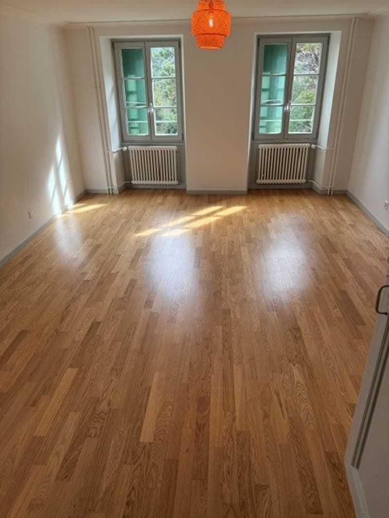 Spacieux appartement de 2 pièces dans un écrin de verdure à Lausanne (3)