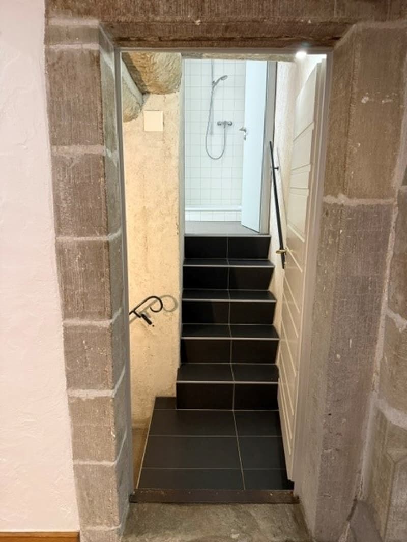 Spacieux appartement de 2 pièces dans un écrin de verdure à Lausanne (5)