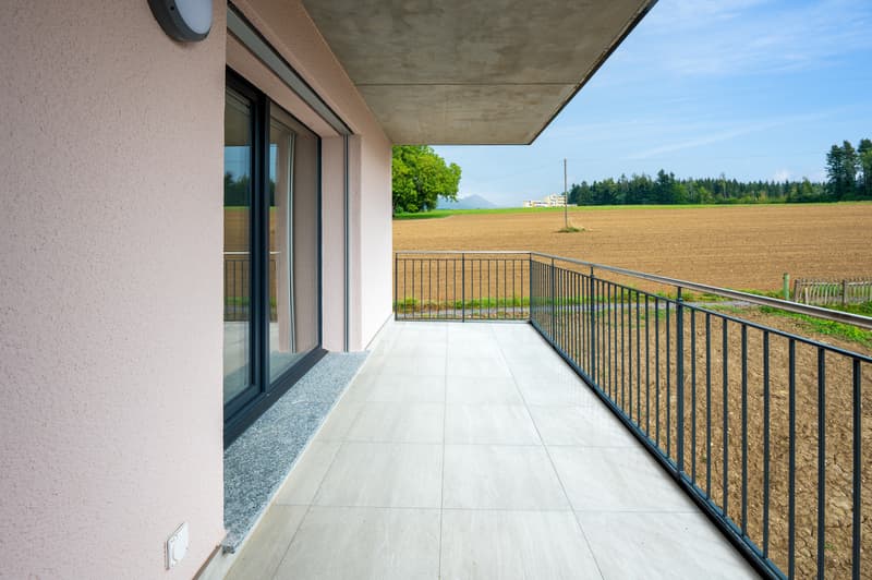 Précédente réalisation - Balcon - non contractuel