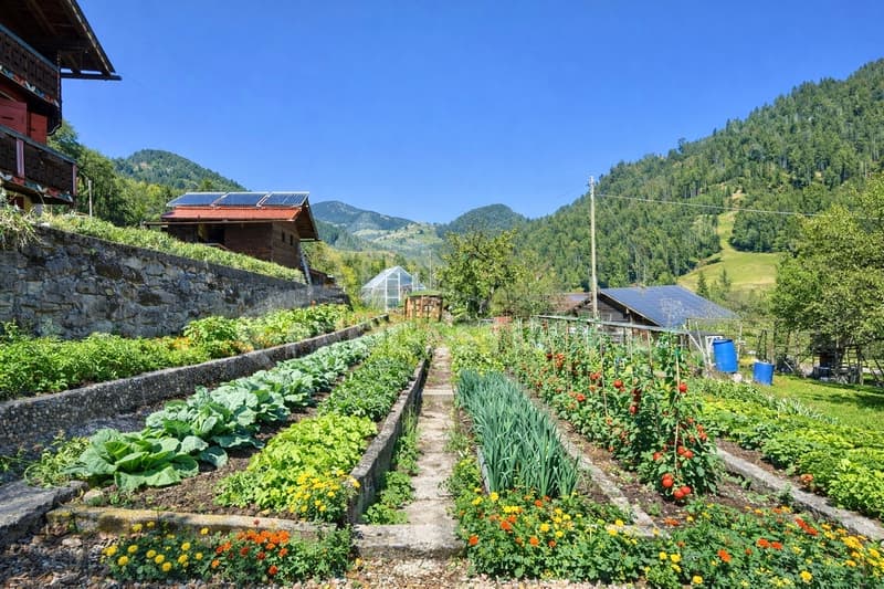 AUTHENTIQUE CHALET RÉNOVÉ AU COEUR DES ALPES VAUDOISES (12)