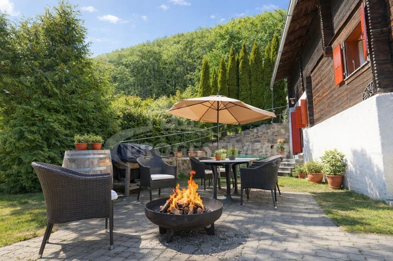 AUTHENTIQUE CHALET RÉNOVÉ AU COEUR DES ALPES VAUDOISES (11)