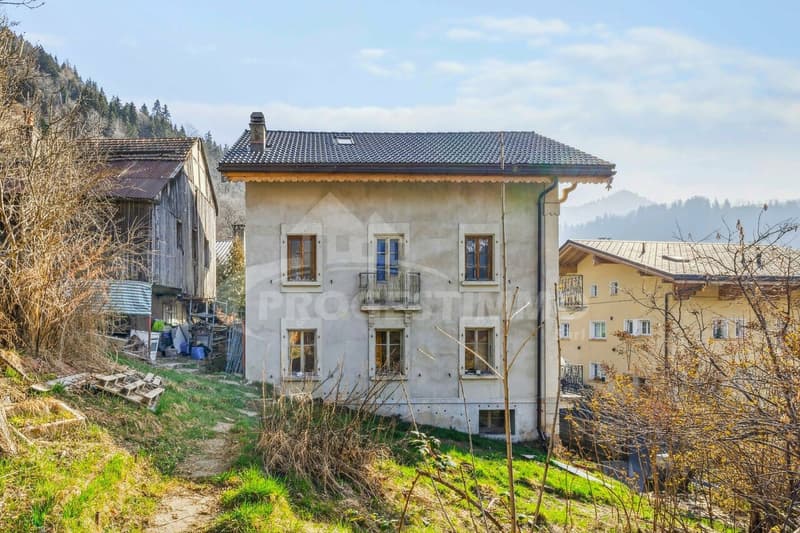 EXCEPTIONAL - LARGE HOUSE TO RENOVATE (10)
