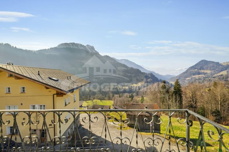 EXCEPTIONAL - LARGE HOUSE TO RENOVATE (6)