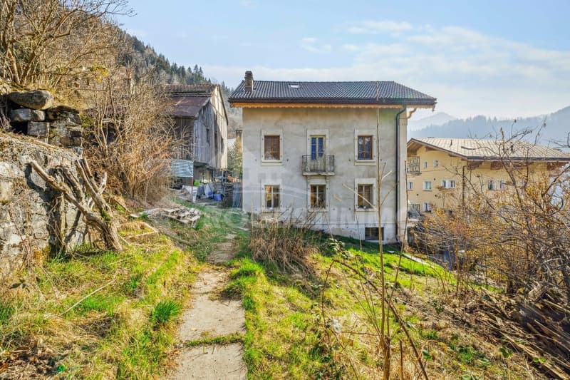 EXCEPTIONAL - LARGE HOUSE TO RENOVATE (2)