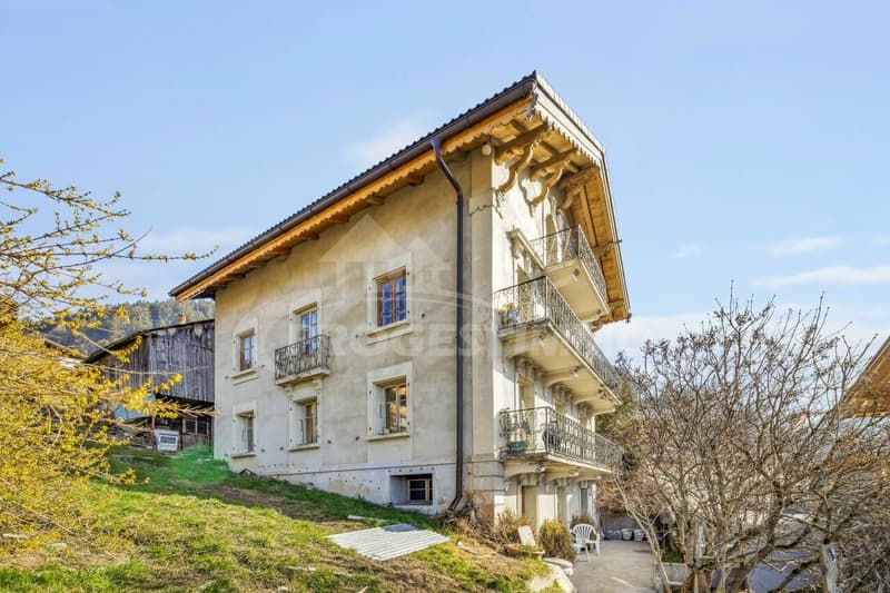 EXCEPTIONAL - LARGE HOUSE TO RENOVATE (7)