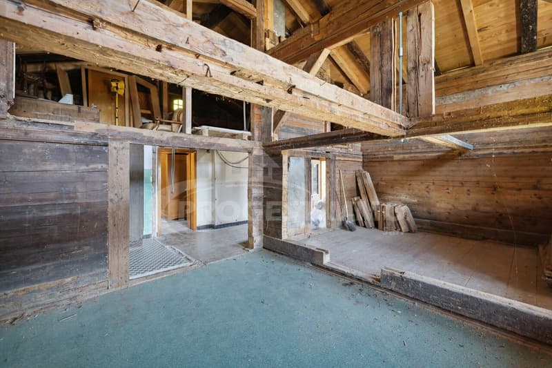 HISTORIC CHALET OF 1767 WITH RENOVATION POTENTIAL (5)