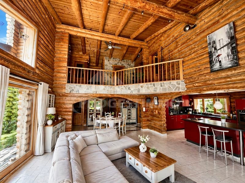 Exceptional Wooden Log House (1)