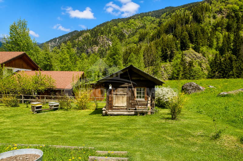 IDEALLY LOCATED IN VAL DE BAGNES (10)
