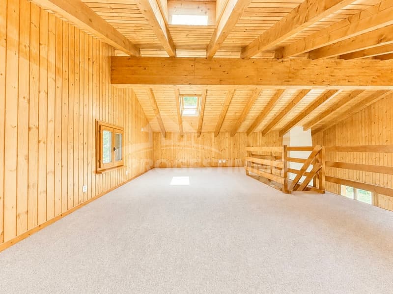 CHARMING CHALET WITH EXCEPTIONAL PANORAMIC VIEW (8)